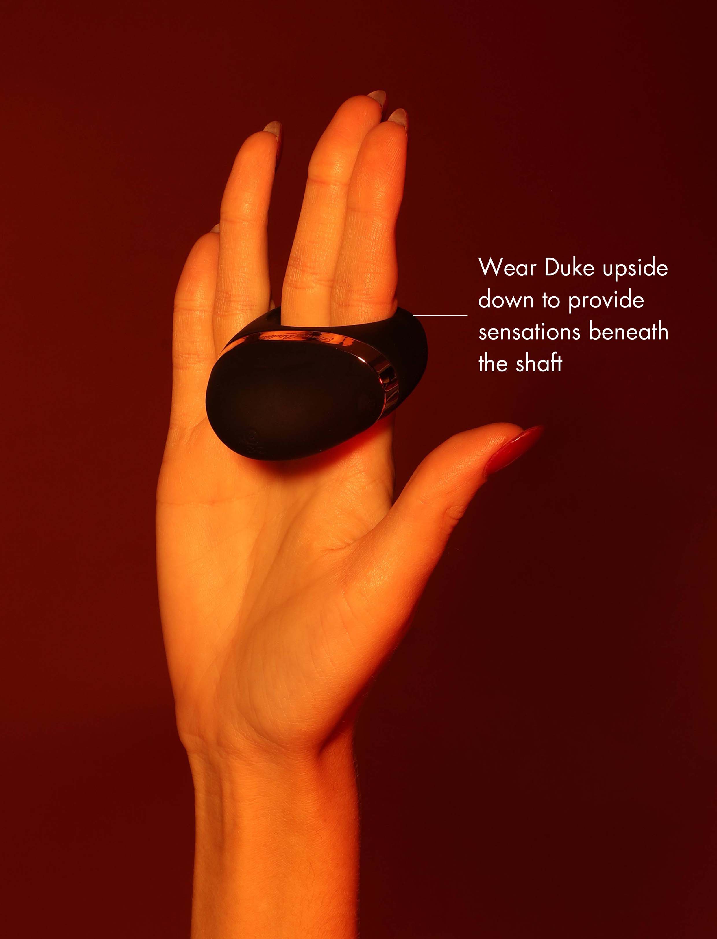 Duke - Image 5